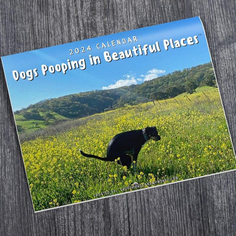 Dogs Pooping in Beautiful Places Calendar Dropshipping Winning Products