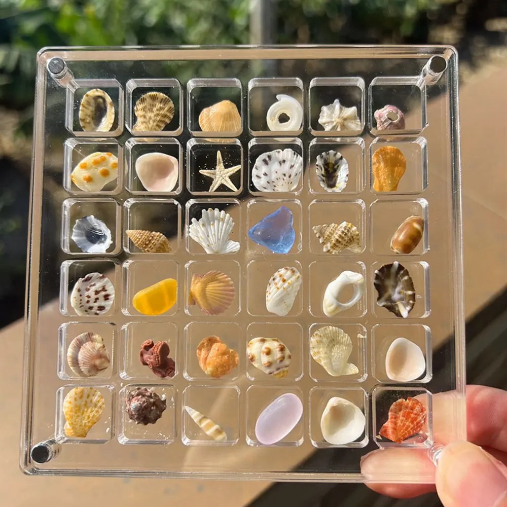 Acrylic Magnetic Seashell Display Box – Dropshipping Winning Products